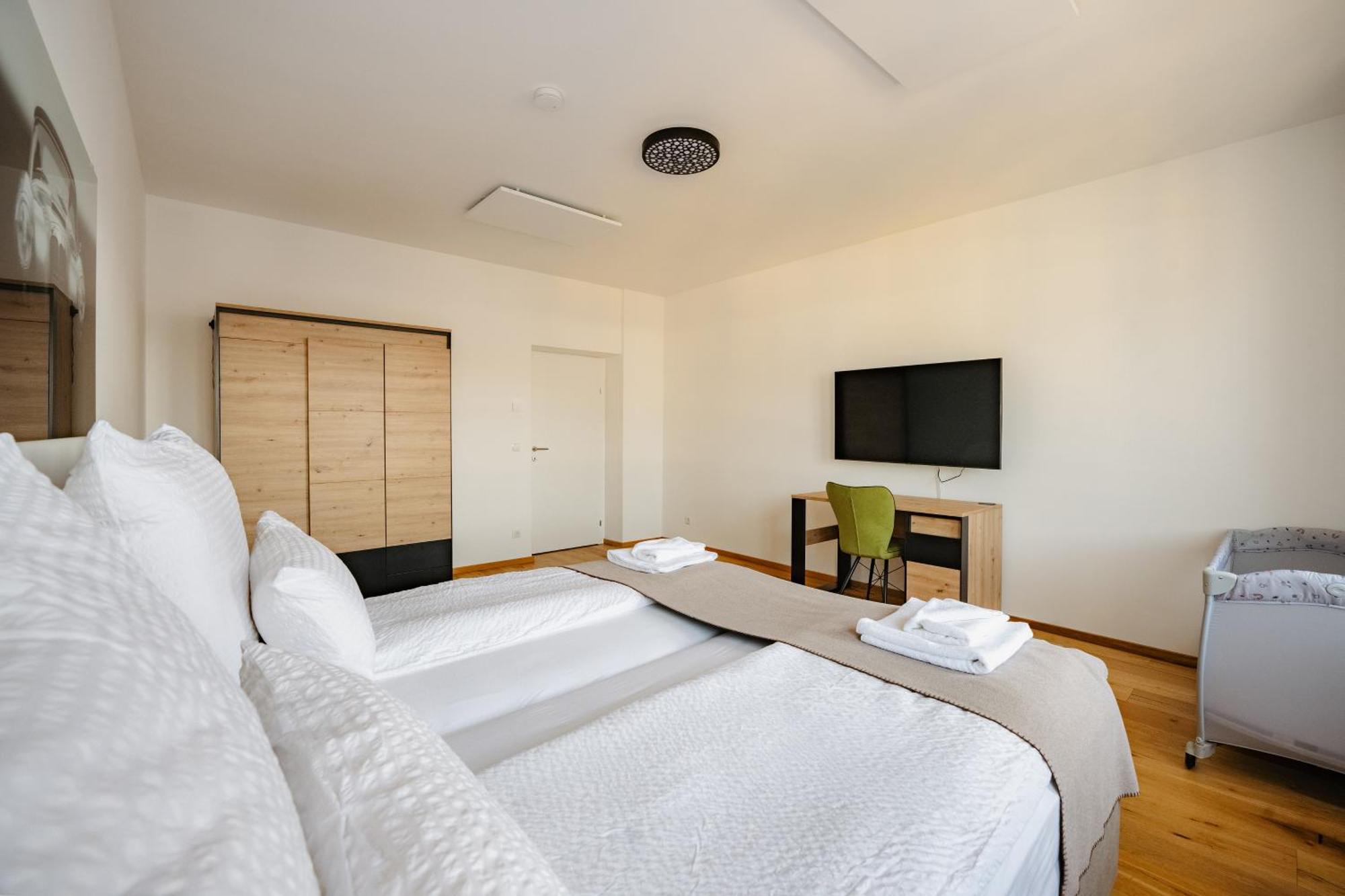 Tamliving Center Luxury 4 Rooms Smart Tv Kitchen Great View Graz Exterior foto